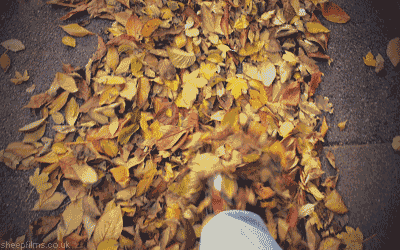 walking on autumn leaves